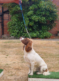 Fitzers Training Lead 6mm Handle
