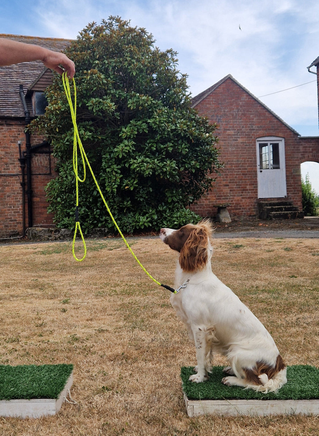 Fitzers 6mm Training Line