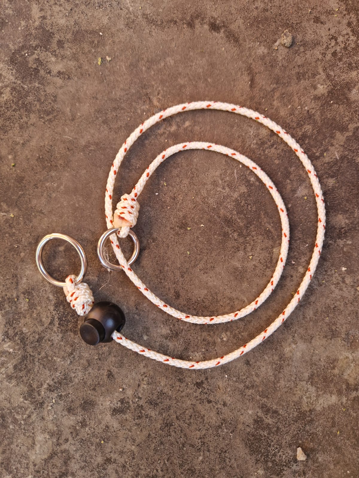 Fitzers Training Lead Additional Collar